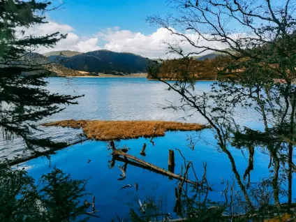 WagonBet Kazino Mobilioji programa